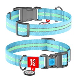 COLLAR C-NYLON FLUO 20mm 24-40_M BLEU