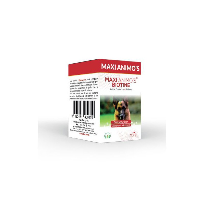 PHYTOVERTUS MAXI ANIMOS BIOTINE 48 GELULES-pharmashop