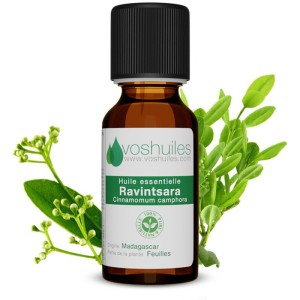 VOS HUILES HUILE ESSENTIELLE RAVINTSARA 10ML-pharmashop