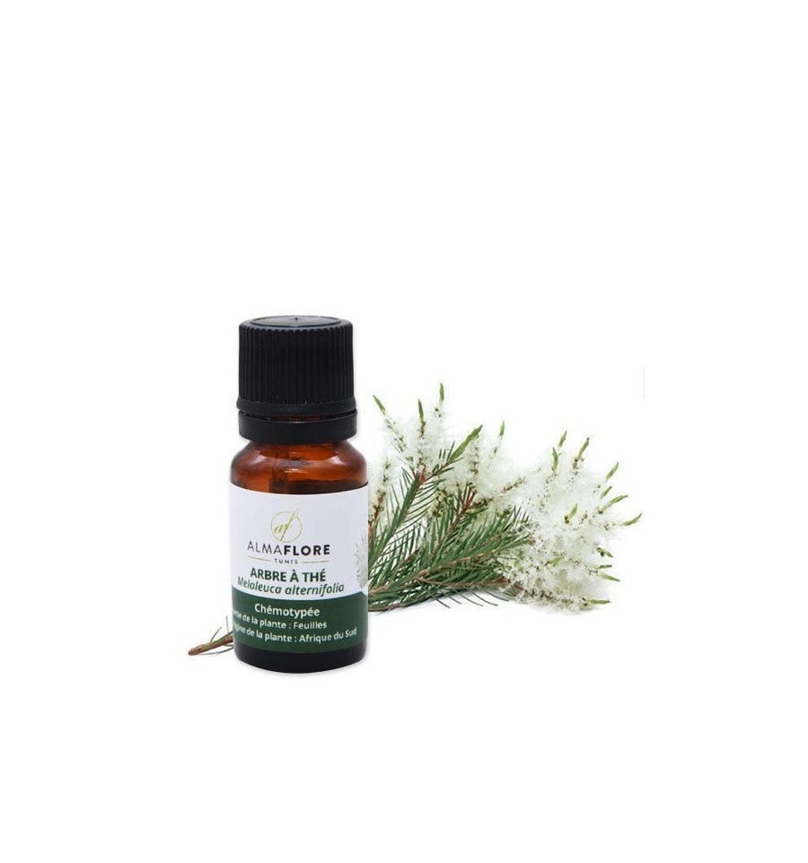 ALMAFLORE Huile Essentielle Arbre À Thé, 10ml