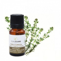 ALMAFLORE HUILE ESSENTIELLE DE THYM A THYMOL 10ML
