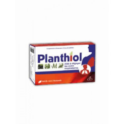VITAL PHYTOTHERA PLANTHIOL 15 GELULES